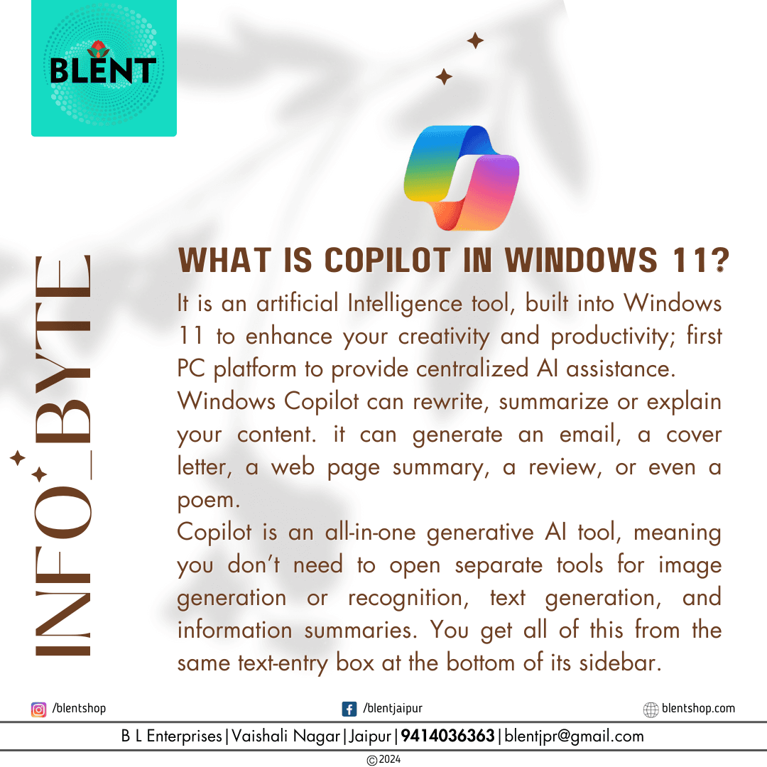 B L Enterprises Info-Byte 8